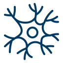 neuron (1)